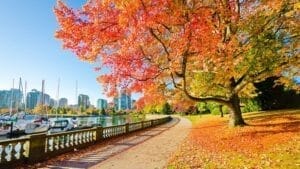 TOUR CANADA: TORONTO– NIAGARA FALLS– OTTAWA– MONTREAL | 7N6Đ