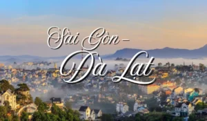 [TOUR 3N3D] ĐÀ LẠT – THIÊN ĐƯỜNG SĂN MÂY: CHẠM TAY VÀO BIỂN MÂY BỒNG BỀNH