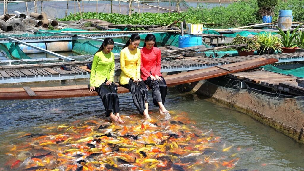 [TOUR 2N1D] MỸ THO – CẦN THƠ: HÀNH TRÌNH VỀ MIỀN TÂY, CHẠM NHỊP SỐNG SÔNG NƯỚC