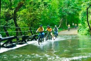 [TOUR 2N1D] VƯỜN QUỐC GIA CÁT TIÊN: HÀNH TRÌNH VỀ VỚI BẢN NGUYÊN HOANG SƠ