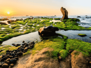 3N3Đ – NINH CHỮ – MŨI NÉ: HÀNH TRÌNH CHINH PHỤC CUNG ĐƯỜNG BIỂN HUYỀN THOẠI